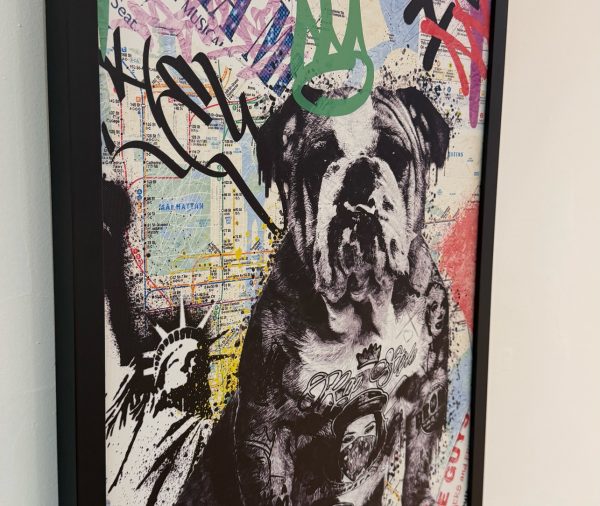 Urban Bulldog New York com Efeito 3D